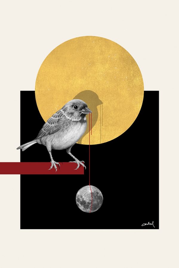 EARLY BIRD©Carmen Cordial