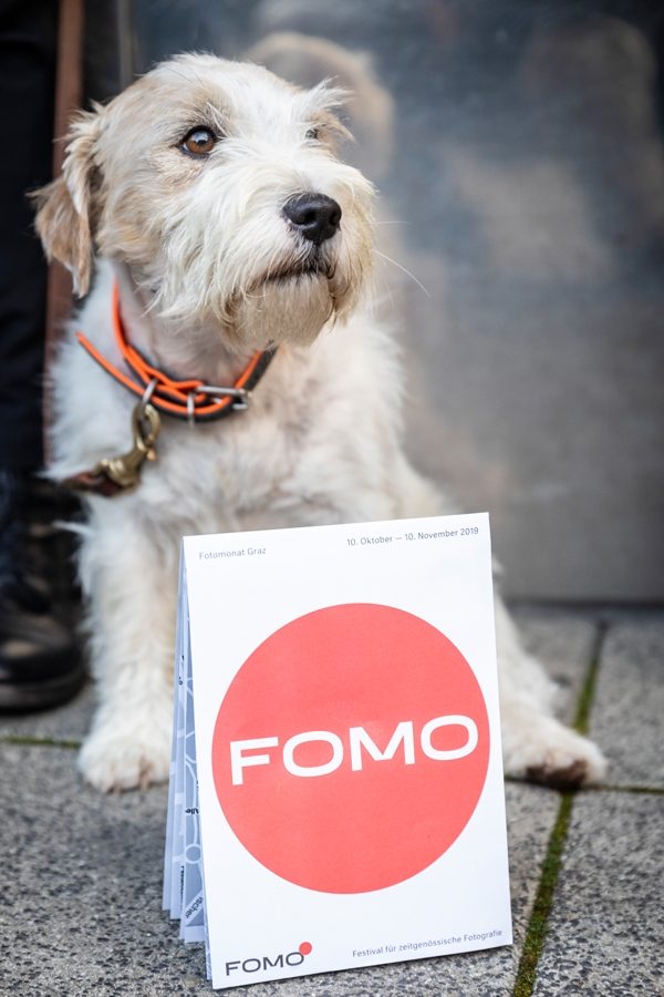 FOMO©Nikola Milatovic